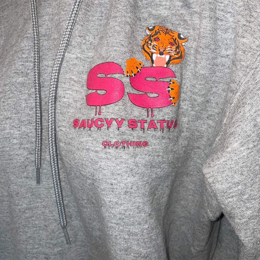 SAUCY STATUS CLOTHING HOODIE - Picture 2 of 4